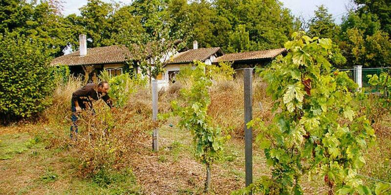 Un refuge de biodiversité dans le Périgord